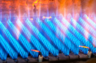 Wellington gas fired boilers